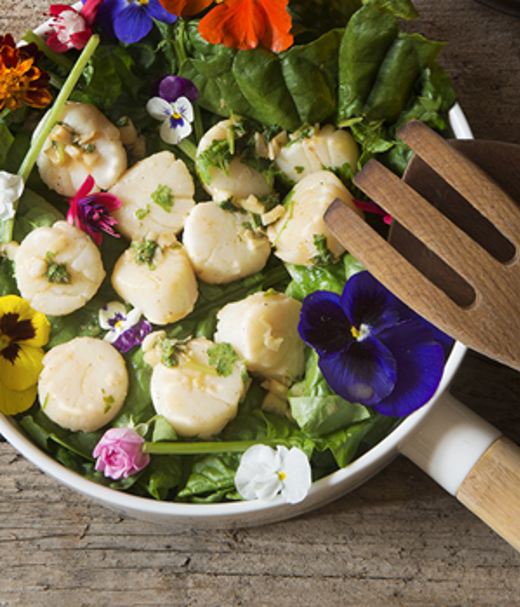 Coquilles in  citroen-knoflook­boter