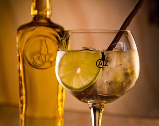 Klassieke Gin & Tonic